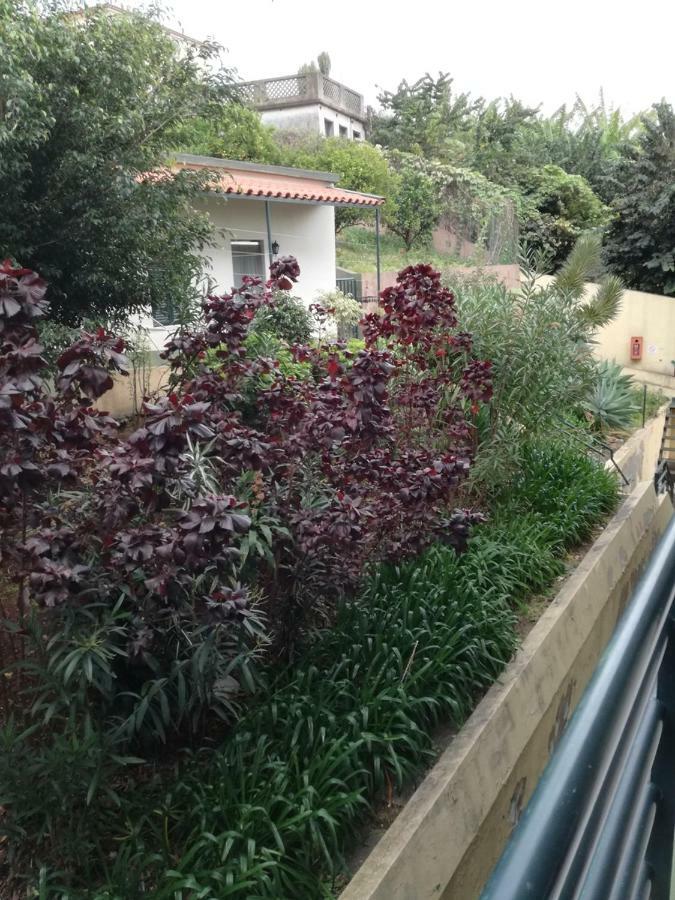 Funchal Gardens Place Exterior foto